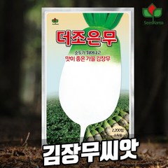 김장 무 씨앗 2200립 가을 무씨 더조은무 (2023년포장), 1개