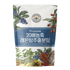 해나식품 레몬밤 추출분말, 2개, 500g