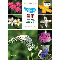 여름에 핀 풀꽃도감(핸드북):자연 그대로의 꽃, 가람누리, 정연옥,박선주,박노복 공저