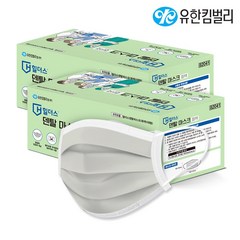 유한킴벌리 힐더스 덴탈마스크 회색 50매x2통 대형 국산 의약외품, 50매, 2개