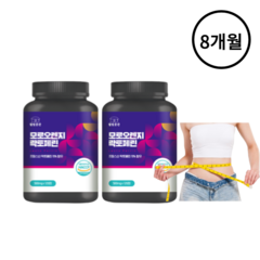 [100% 정품] 락토페린 9000mg 고함량 추천 모로오렌지 프랑스산 해썹 120정 웰빙곳간 / 장용성 스키니랩 코팅 락토패린 락토페닌 초유 효능 + 비타민C 증정 사은품, 120정 x 2통 , 8개월