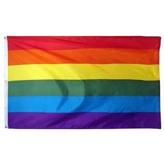 퀴어 퍼레이드 무지개 깃발 rainbow pride 150x240cm 거대한 거대한, 60x90cm