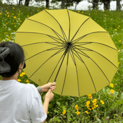 파인뮤제오 태풍도 견디는 튼튼한 장우산 자동 대형 예쁜 우산
