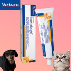 버박 강아지 고양이 비타민B 미네랄 관절약 관절 칼슘 영양제, 1.뉴트리 플러스겔 120.5g