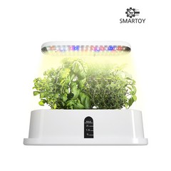 스마토이 가정용 LED 식물 수경 재배기 + 추가 스펀지 10개 스마트팜 새싹 상추, 스마토이 수경 재배기 스펀지 10