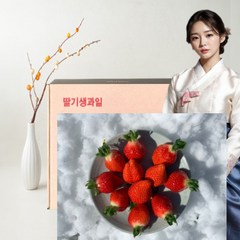 최상급 설향생딸기 선물세트, 2팩, 750g