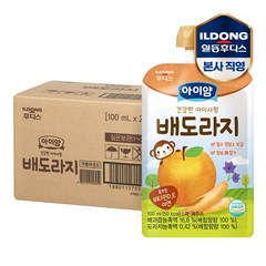 아이얌 건강한 아이사랑 주스 배도라지 100mlx40개, 혼합맛(배/도라지), 100ml, 40개