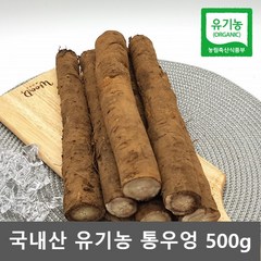 국산 우엉 유기농 무농약 우엉 국내산 통우엉 우옹 500g, 1개