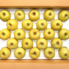 [블루밍그린] 안동 시나노골드 고당도 황금사과, 1박스, 한입 5kg(29-31)