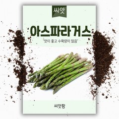 아틸란틱 아스파라거스씨앗 (40립)/채소/서양채소, 1개