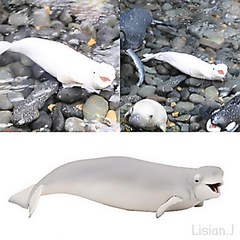 바다생물 벨루가 흰돌고래 고래 피규어 홈스쿨링 학습 교구 피규어 소품