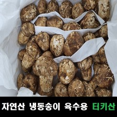 송이버섯 자연산 냉동 육수용 터키산, 육수용 1kg, 1개