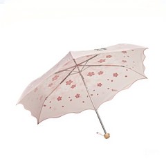 스타벅스 20 벚꽃피는 양우산