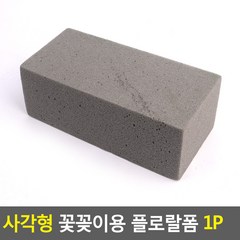 조화용오아시스