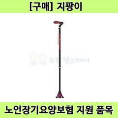 [노인장기요양] 복지용구 일자형 등산용 노인 어르신 지팡이 보행보조용품 BS, 지팡이 BS, 1개