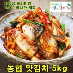 해남 화원농협 맛김치 5kg 이맑은김치, 100% 국내산 맛김치 5kg, 1개
