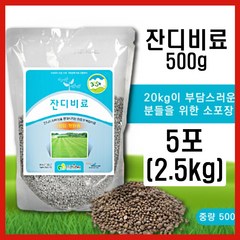 잔디비료500g(사용편리한소포장) 5포 2.5kg 잔디전용 복합비료 골프장 정원 한국잔디 들잔디 공원잔디 알비료, 잔디비료500g 5포(2.5kg)