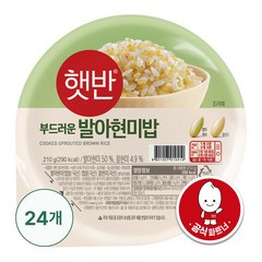 햇반 발아현미밥, 210g, 24개