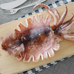 해맑은푸드 반건조 오징어, 1개, (특대)10미 1.6kg내외