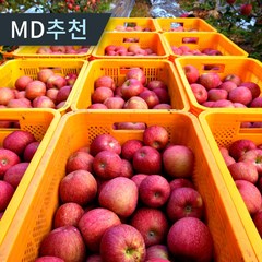 [달농]햇 사과 부사사과 경북 가정용 흠집 꿀사과, 4.5kg 한입과(27-30과내외), 1개