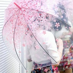 화사한 체리블라썸 우산 1+1 벚꽃 우산 4종