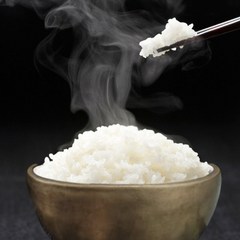 2023년 햅쌀 황금쌀 찰진 안동 백진주쌀 백미 10kg, 단품