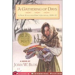 뉴베리 수상작 A Gathering of Days 영어원서, 단품