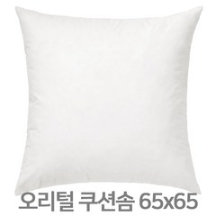 이케아 오리털 쿠션솜 65x65 쿠션패드 오리털쿠션솜 쿠션커버 FJADRAR 피에드라르