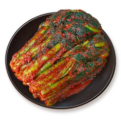 [진담김치] 전라도 여수 돌산 갓김치 I 국산 천연재료 진한 감칠맛의 전라도김치, 1kg, 1개