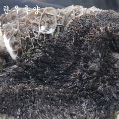 (배터짐) 횡성 한우 흑양 2kg 안깐양 양곰탕 흑양 내장탕 선지 해장국 곱창전골, 1개