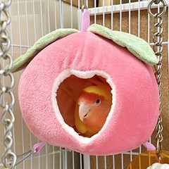 앵무새장난감 복숭아 둥지(핑크/노랑) 햄스터 다람쥐 앵무새 은신처 포치, 복숭아둥지-핑크
