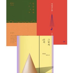 황정은 소설 3권세트 - 연년세세 ＋ 백의 그림자 ＋ 디디의 우산