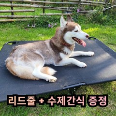 그램도그 강아지 해먹 애견 침대 대형견 이동식 캠핑 의자, 접이식