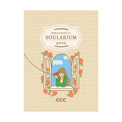 솔라리움2 솔라리움 카드 soularium 질문카드 CCC 관계전도