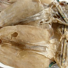 건어물천국 마른오징어 파품 1kg 500g 동해안 파품오징어, 1개