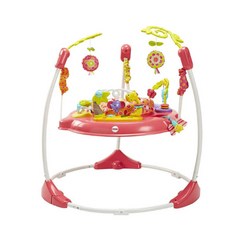 Fisher-Price Jumperoo: Pink Petals 피셔 프라이스 점퍼루 핑크 페탈