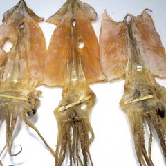 동해안 특 파품 건오징어, 500g(특, 파품, 6~10미), 1개
