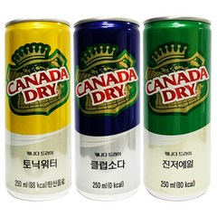 콜라 카나다드라이 토닉워터, 250ml, 60개