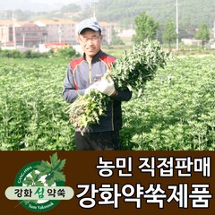 강화도토박이 3년 강화사자발쑥 상부잎 발효쑥차 약쑥차, 100g, 1봉