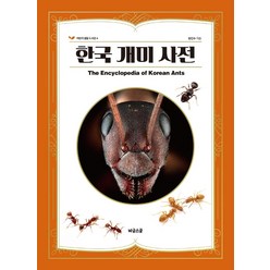 한국 개미 사전, 비글스쿨