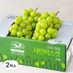 프레시탐탐 상주GAP 당도산별 샤인머스켓, 2kg(3~4입), 2박스