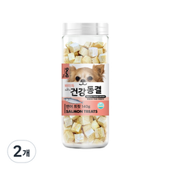 바이독 건강동결 강아지 간식 140g, 연어맛, 2개