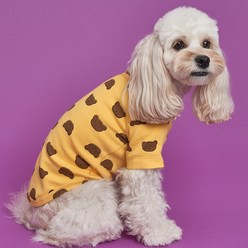 도그아이 강아지 베어베어 티셔츠, 옐로우