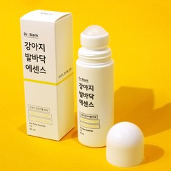 닥터블랭크 강아지 발바닥 비타민에센스 롤타입, 85ml, 1개