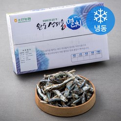 완도소안농협 멸치(대멸), 500g, 1박스