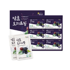 별빛촌 발효 오디 뽕 오디즙 30p, 30개입, 70g