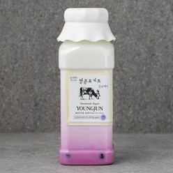 영준목장 수제 요거트 블루베리, 1개, 500ml