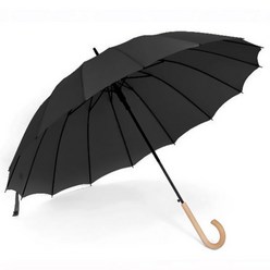 공유 파스텔 장우산