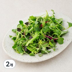 유기농 어린잎 채소믹스, 50g, 2개