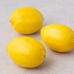 곰곰 칠레산 레몬, 350g (3개입), 1봉